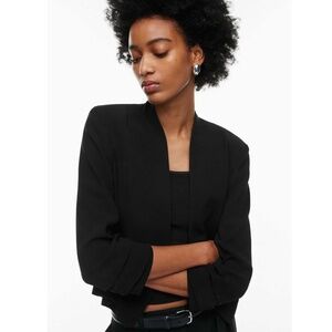 Aritzia Babaton Power Waist Blazer
